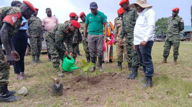 WhatsApp Image 2025-06-02 at 9.43.52 AM