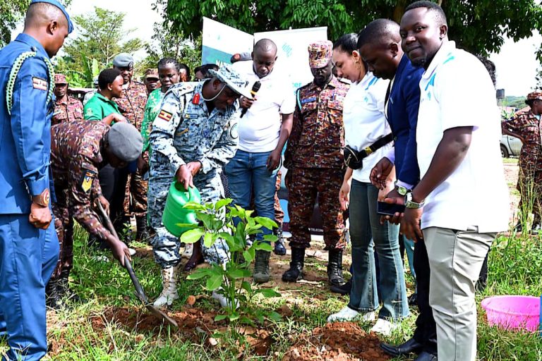 WhatsApp Image 2025-10-25 at 11.28.21