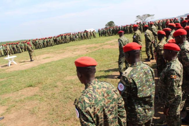 WhatsApp Image 2025-11-06 at 16.29.55