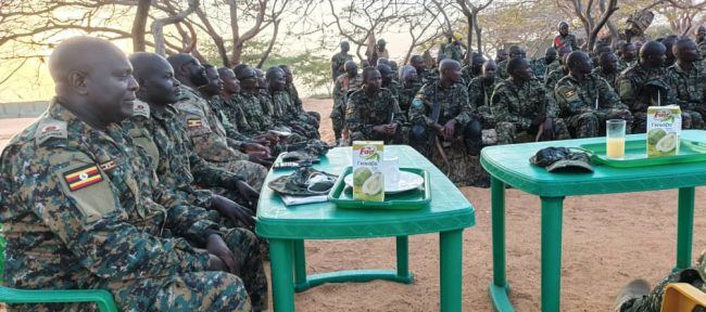 WhatsApp Image 2026-01-26 at 17.34.38